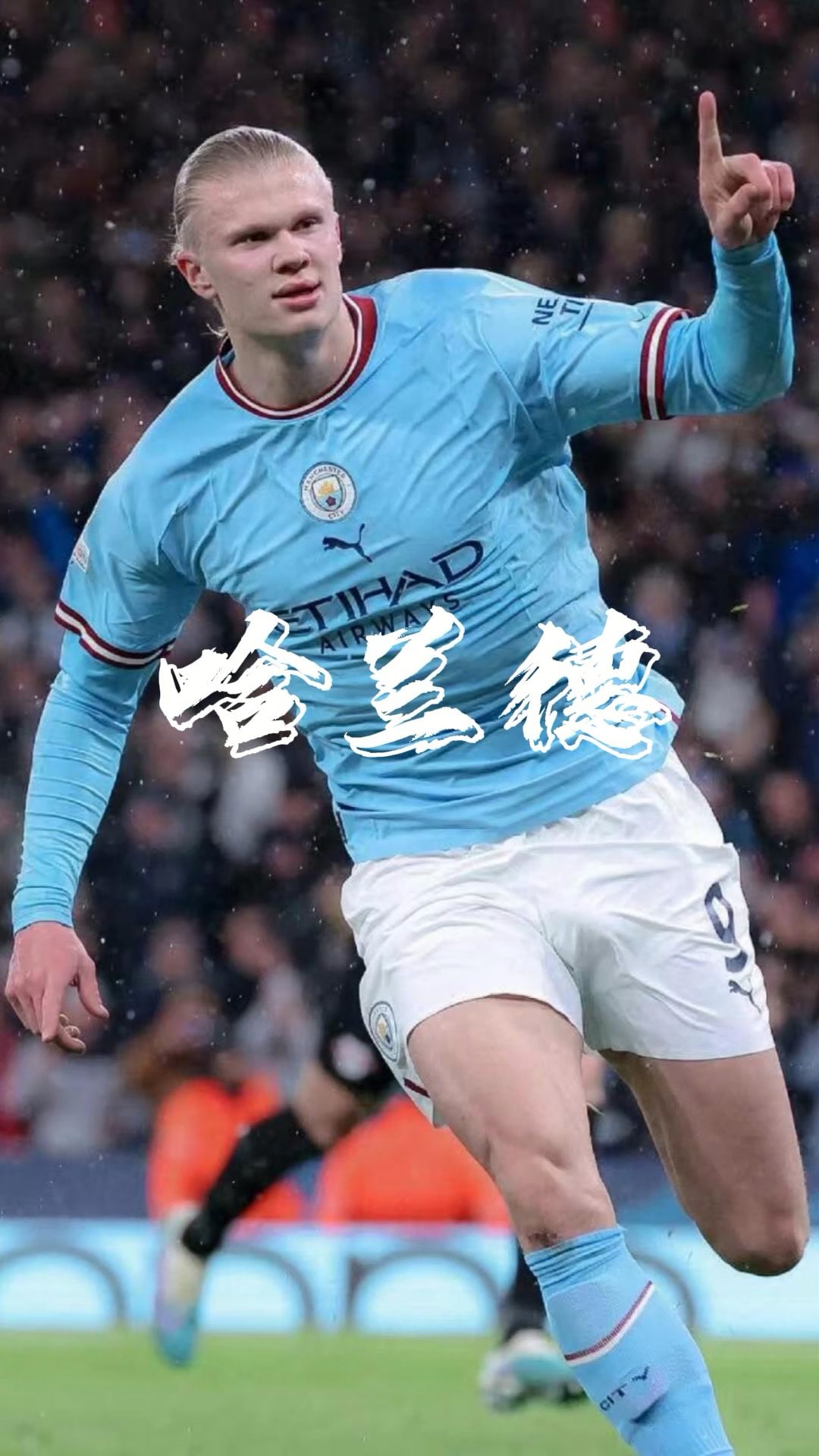 引援 引援